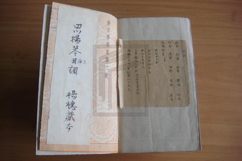DSC08779.JPG